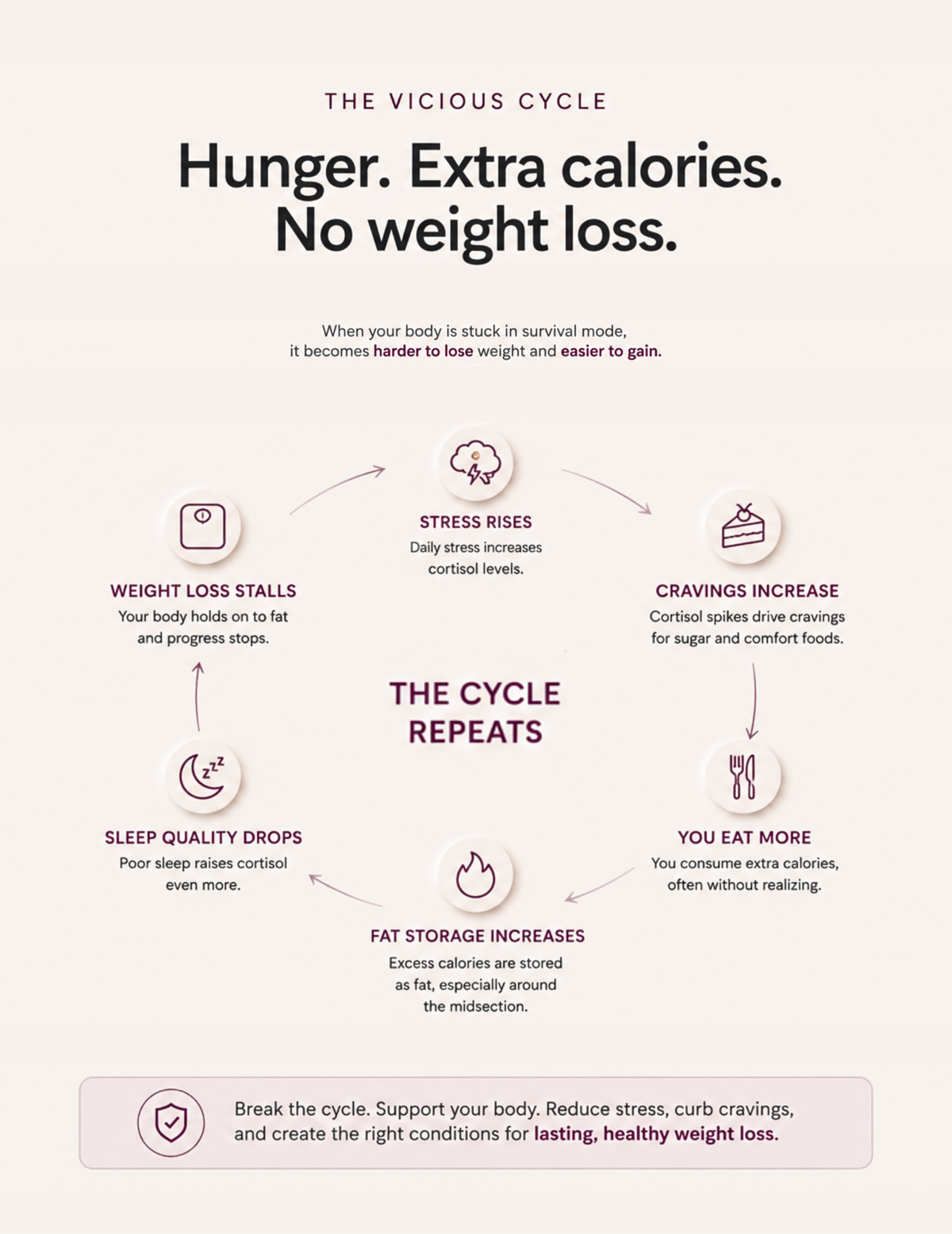 SATIÉ Diet Drops — Extra Metabolic Support While You Lose Weight